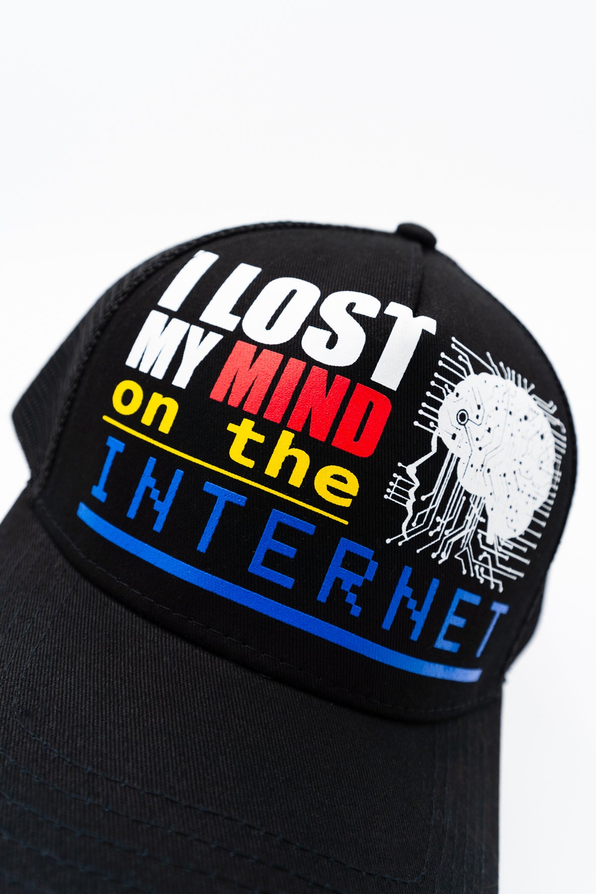 I LOST MY MIND TRUCKER