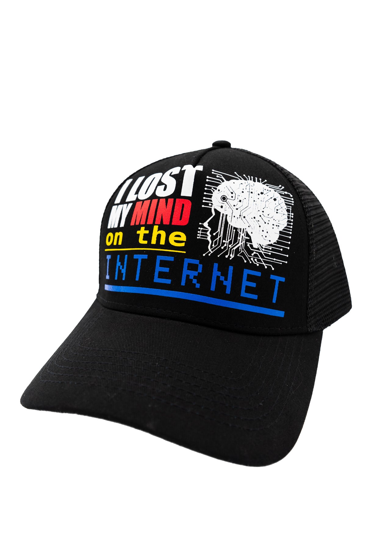 I LOST MY MIND TRUCKER